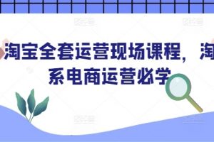 淘宝全套运营现场课程，淘系电商运营必学