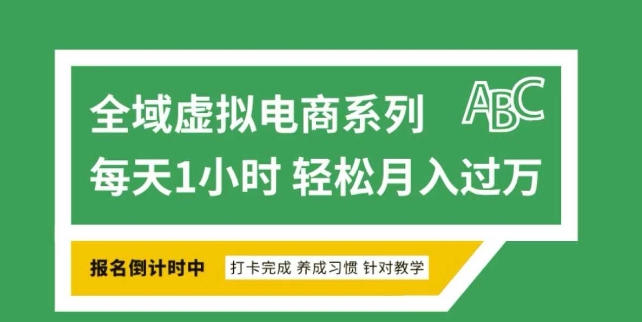 全域虚拟电商变现系列