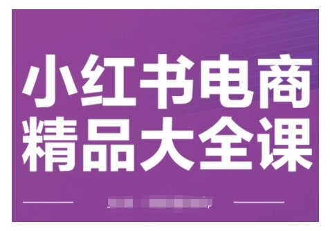 小红书电商精品大全课，掌握小红书运营技巧，实现精准引流