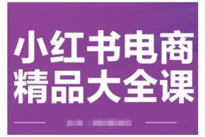 小红书电商精品大全课，快速掌握小红书运营技巧