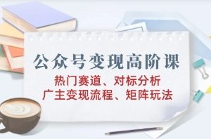 公众号变现高阶课，热门赛道、对标分析、广告主变现流程、矩阵玩法