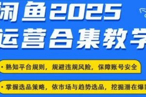 闲鱼电商运营教程，最新咸鱼玩法