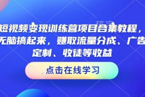 AI短视频变现训练营项目合集教程，直接无脑搞起来，赚取流量分成、广告、定制、收徒等收益（0302更新）