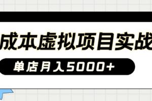 0成本虚拟项目实战手把手教你落地，单店月入5k