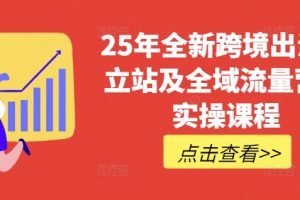 25年全新跨境出海独立站及全域流量营销实操课程，跨境电商独立站TIKTOK全域营销普货特货玩法大全