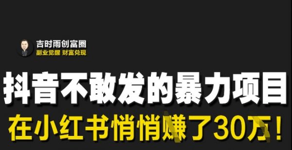 抖音不敢发的暴利项目，在小红书悄悄挣了30W