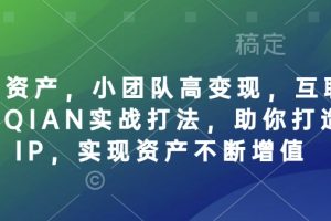 个人IP资产，小团队高变现，互联网全链路赚QIAN实战打法，助你打造个人IP，实现资产不断增值