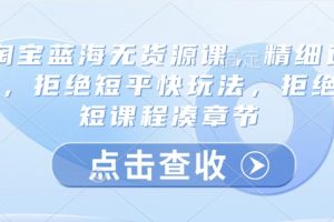 淘宝蓝海无货源课，精细运营，拒绝短平快玩法，拒绝简短课程凑章节